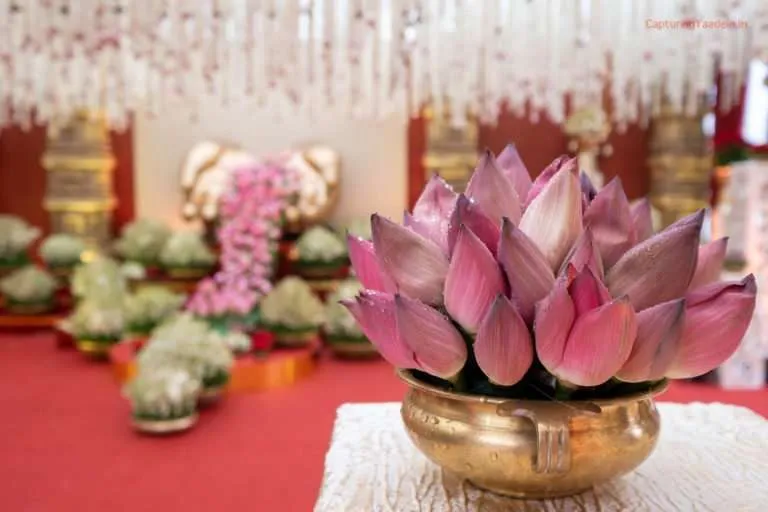 Top wedding Photographer in Delhi NCR