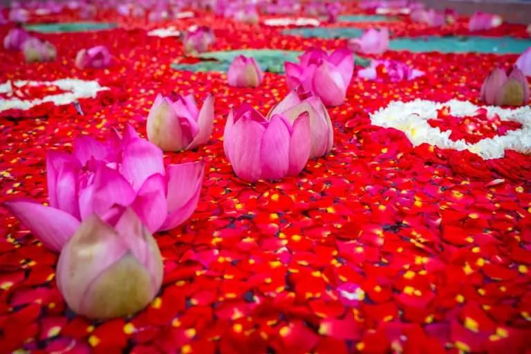 Professional Wedding Photographer In Delhi NCR
